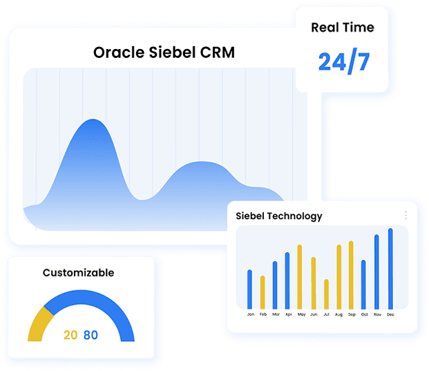 Monitoring For Siebel CRM